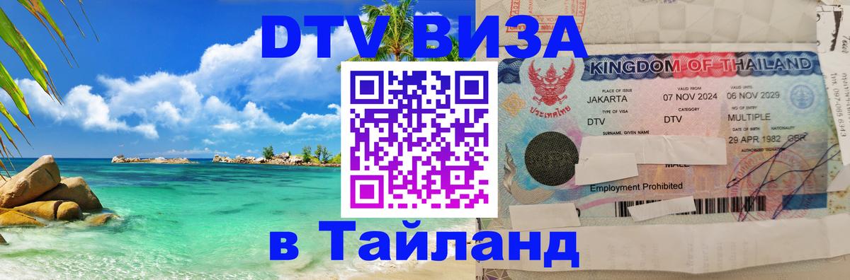 Сколько стоит DTV виза — актуальные цены, оформление даже без документов - Северодвинск  20.11.2025 